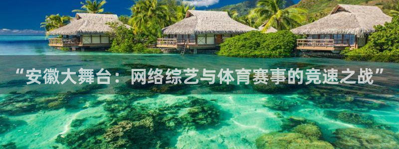 “安徽大舞台：网络综艺与体育赛事的竞速之战”